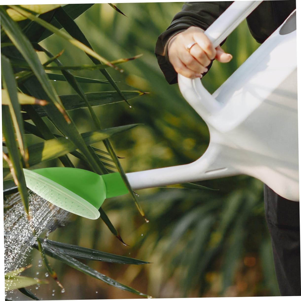 2 pcs Watering can Sprinkler Head Bonsai Watering Head Replacement Watering can Nozzle for Indoor Outdoor Plants Potted Plants Orchids Herbs Small Spout Watering