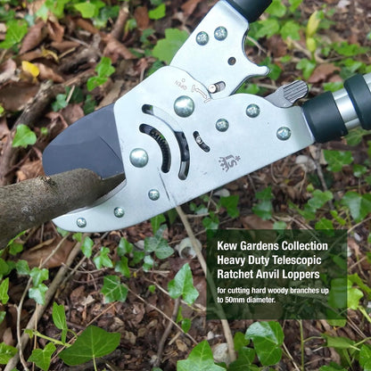 Kew Gardens Razorsharp Heavy Duty Telescopic Ratchet Anvil Loppers