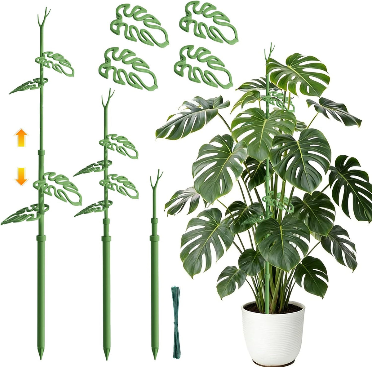 Telescoping Monstera Plant Support Stakes, Adjustable Climbing Plant Stakes