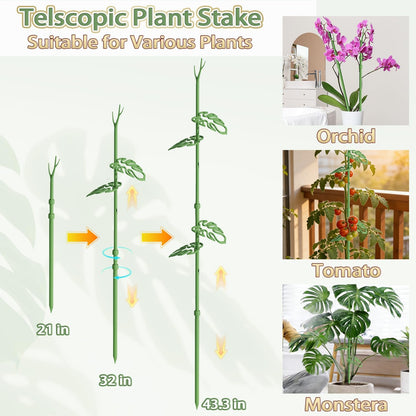 Telescoping Monstera Plant Support Stakes, Adjustable Climbing Plant Stakes