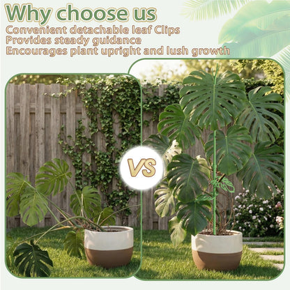 Telescoping Monstera Plant Support Stakes, Adjustable Climbing Plant Stakes