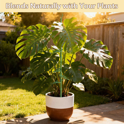 Telescoping Monstera Plant Support Stakes, Adjustable Climbing Plant Stakes