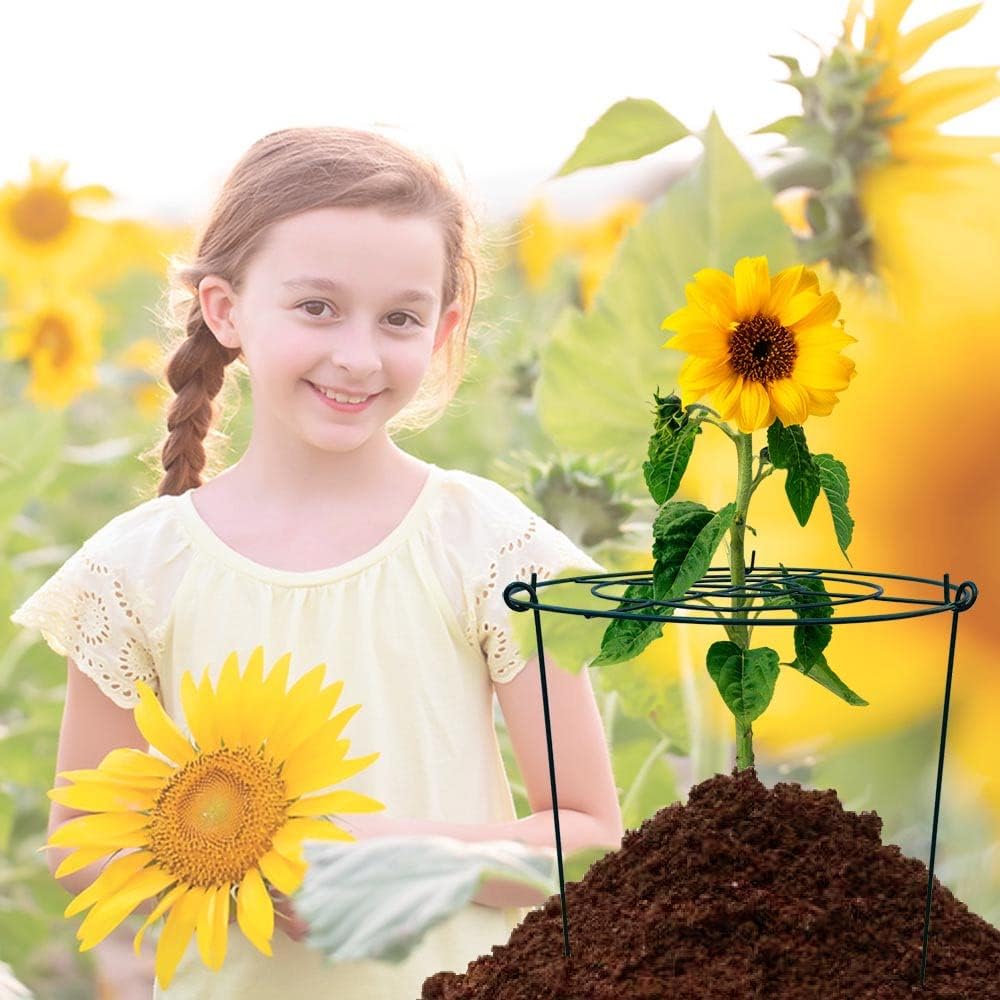 5 Pack 16"x24" Peony Cages Plant Support Stakes Grow Through Grid Grow Through Hoops, Metal Flower Plant Brace Support Ring for Heavy Blossom