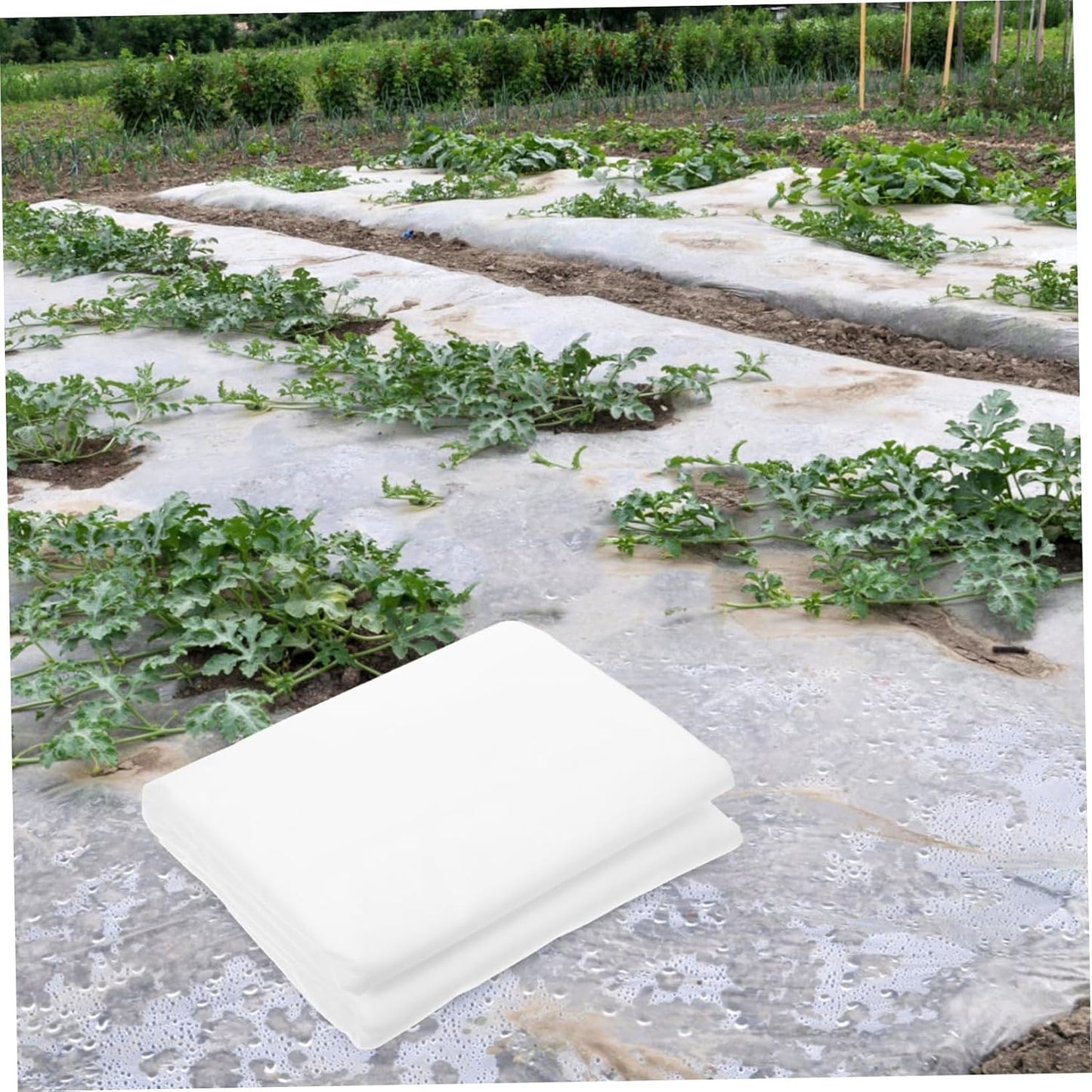 Non-Woven Frost Plant Blankets Plant Cover for Raised Beds Floating Row Cover for