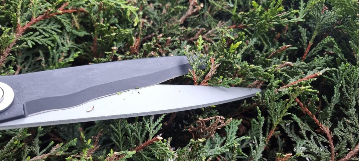 ® Pro Heavy Duty Hedge Shears - Premium Garden Clippers with Patented Gearing Technology, Ultra Lightweight Aluminium Handles, Japanese SK5 Steel Blades, Ideal Shears for Gardening - 22" Trimmer
