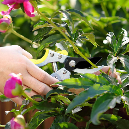 Tree Branch Cutter Garden Shears Set, Loppers for Tree Trimming Heavy Duty