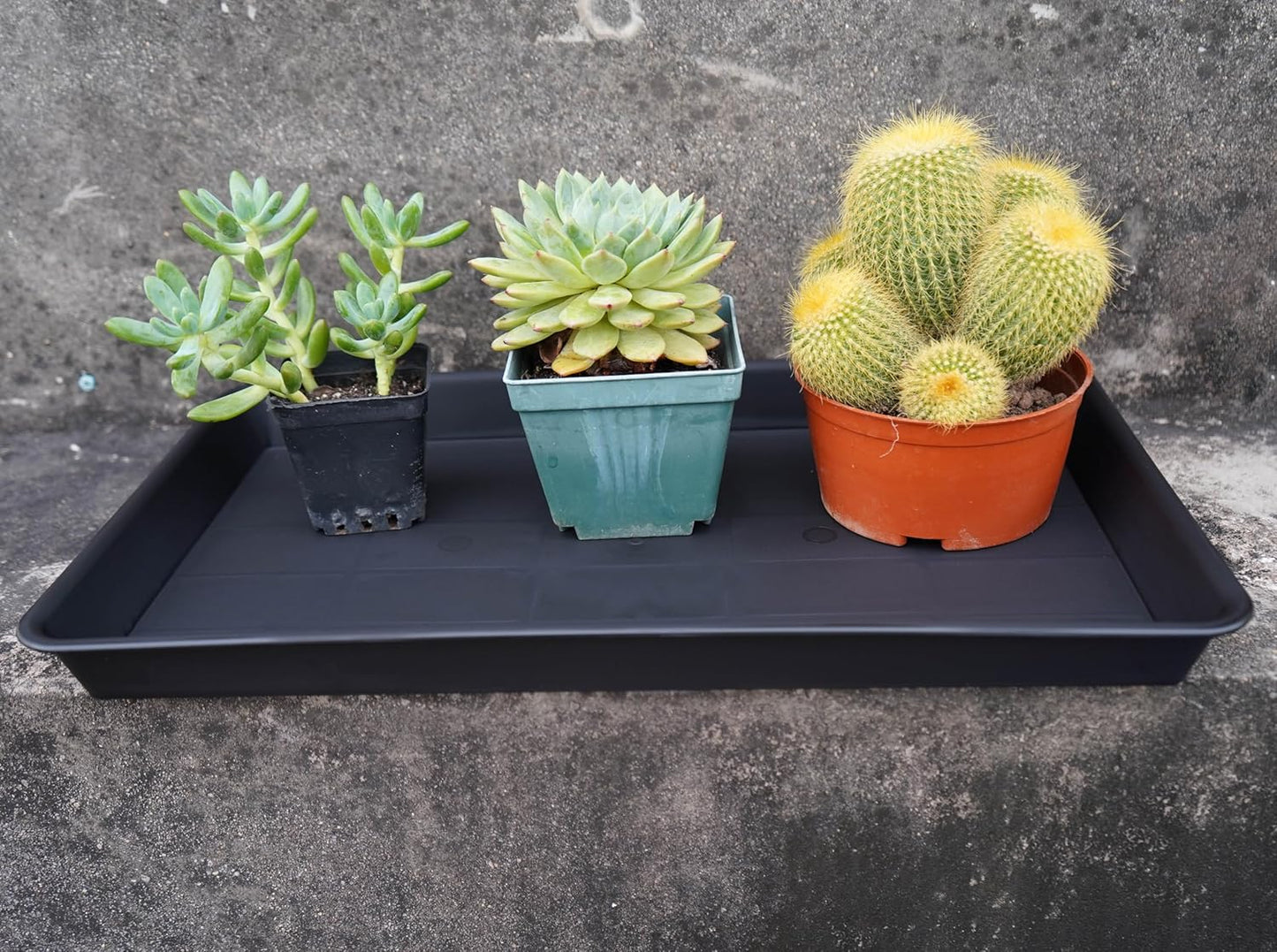 Plant Saucer Growing Tray, Seed Starter Tray Rectangular, Heavy Sturdy Plastic Plant Drainage Saucers, Plant Drip Trays for Pots, Seed Starter Growing Trays (11 x 9 inch, 2 Pack)