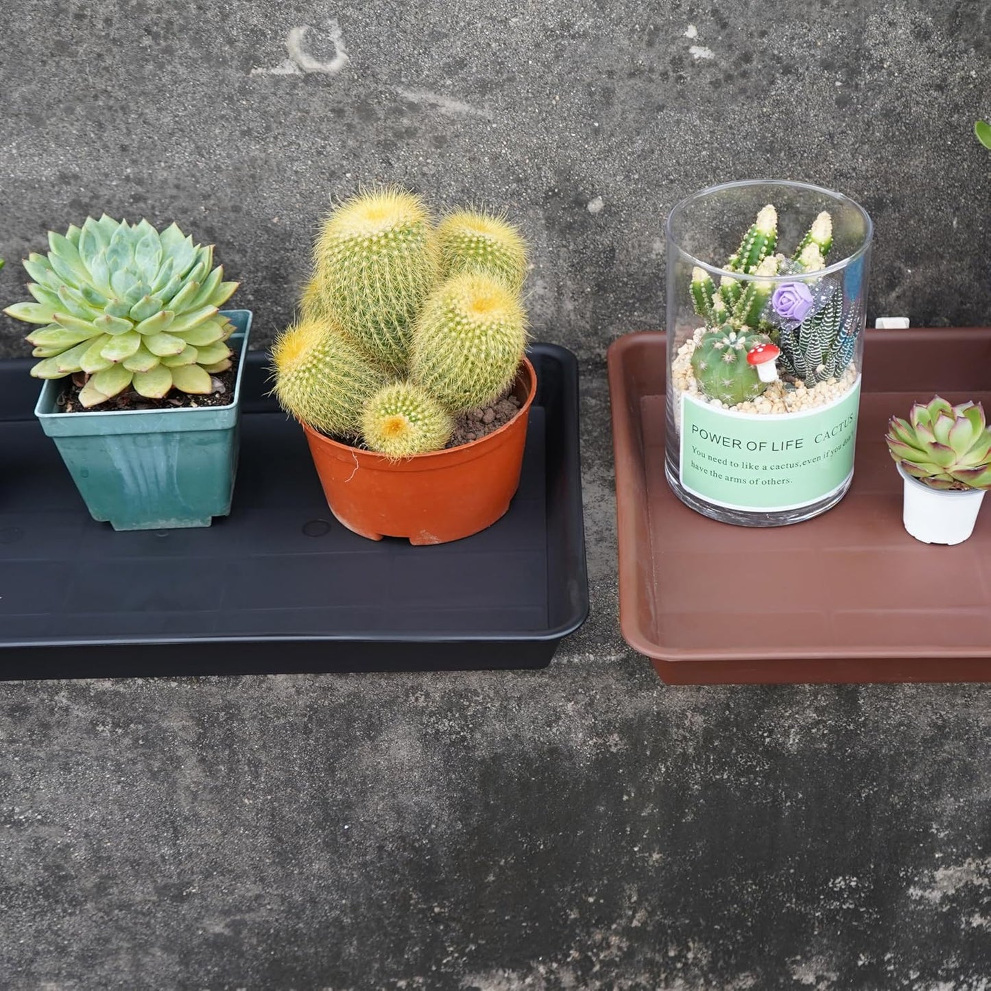 Plant Saucer Growing Tray, Seed Starter Tray Rectangular, Heavy Sturdy Plastic Plant Drainage Saucers, Plant Drip Trays for Pots, Seed Starter Growing Trays (11 x 9 inch, 2 Pack)