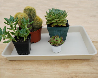 Plant Saucer Growing Tray, Seed Starter Tray Rectangular, Heavy Sturdy Plastic Plant Drainage Saucers, Plant Drip Trays for Pots, Seed Starter Growing Trays (11 x 9 inch, 2 Pack)