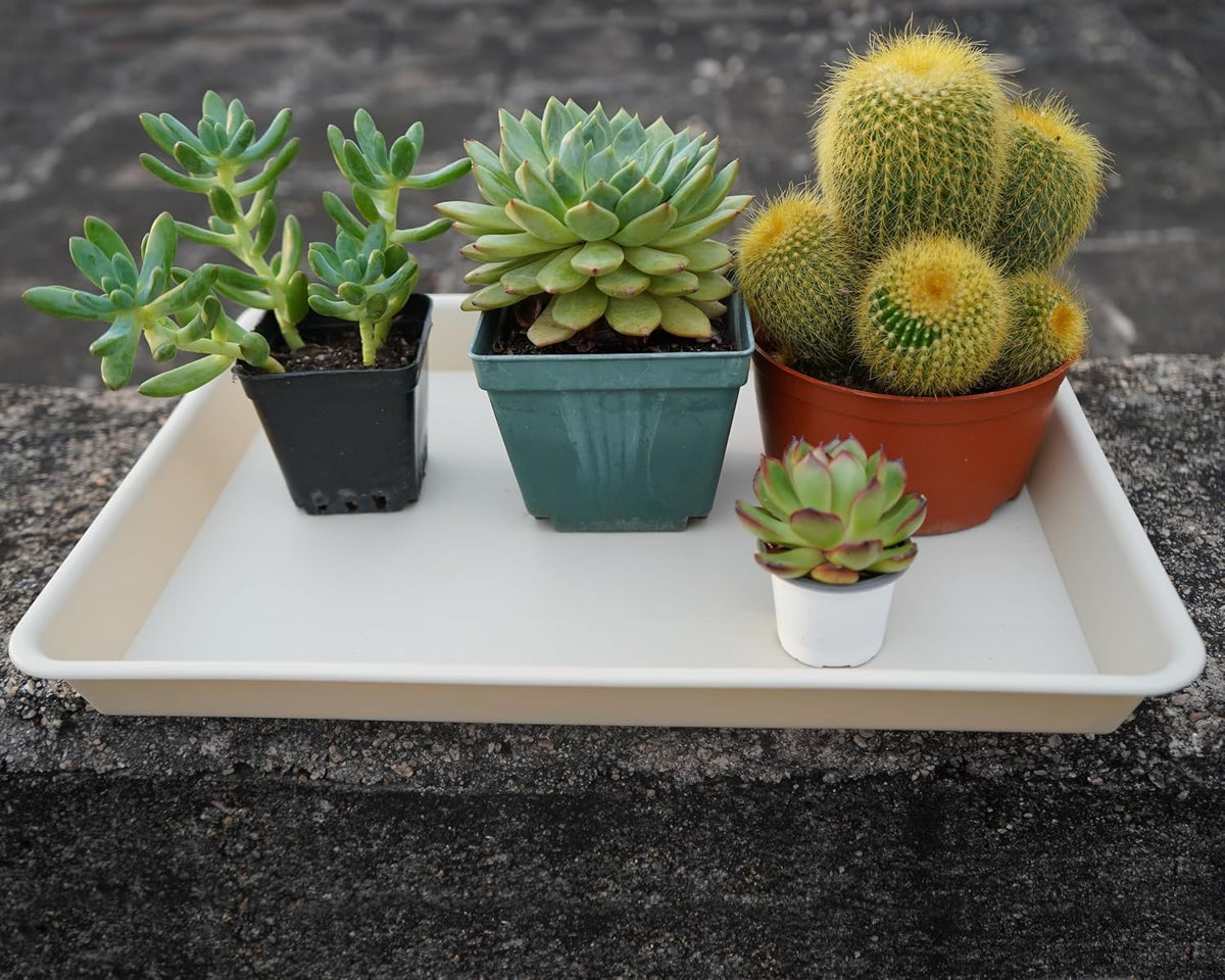 Plant Saucer Growing Tray, Seed Starter Tray Rectangular, Heavy Sturdy Plastic Plant Drainage Saucers, Plant Drip Trays for Pots, Seed Starter Growing Trays (11 x 9 inch, 2 Pack)