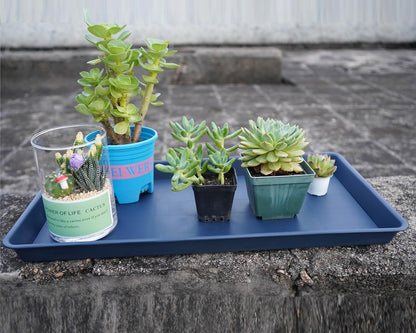 Plant Saucer Growing Tray, Seed Starter Tray Rectangular, Heavy Sturdy Plastic Plant Drainage Saucers, Plant Drip Trays for Pots, Seed Starter Growing Trays (11 x 9 inch, 2 Pack)