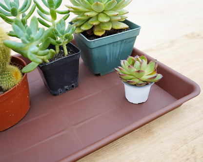 Plant Saucer Growing Tray, Seed Starter Tray Rectangular, Heavy Sturdy Plastic Plant Drainage Saucers, Plant Drip Trays for Pots, Seed Starter Growing Trays (11 x 9 inch, 2 Pack)
