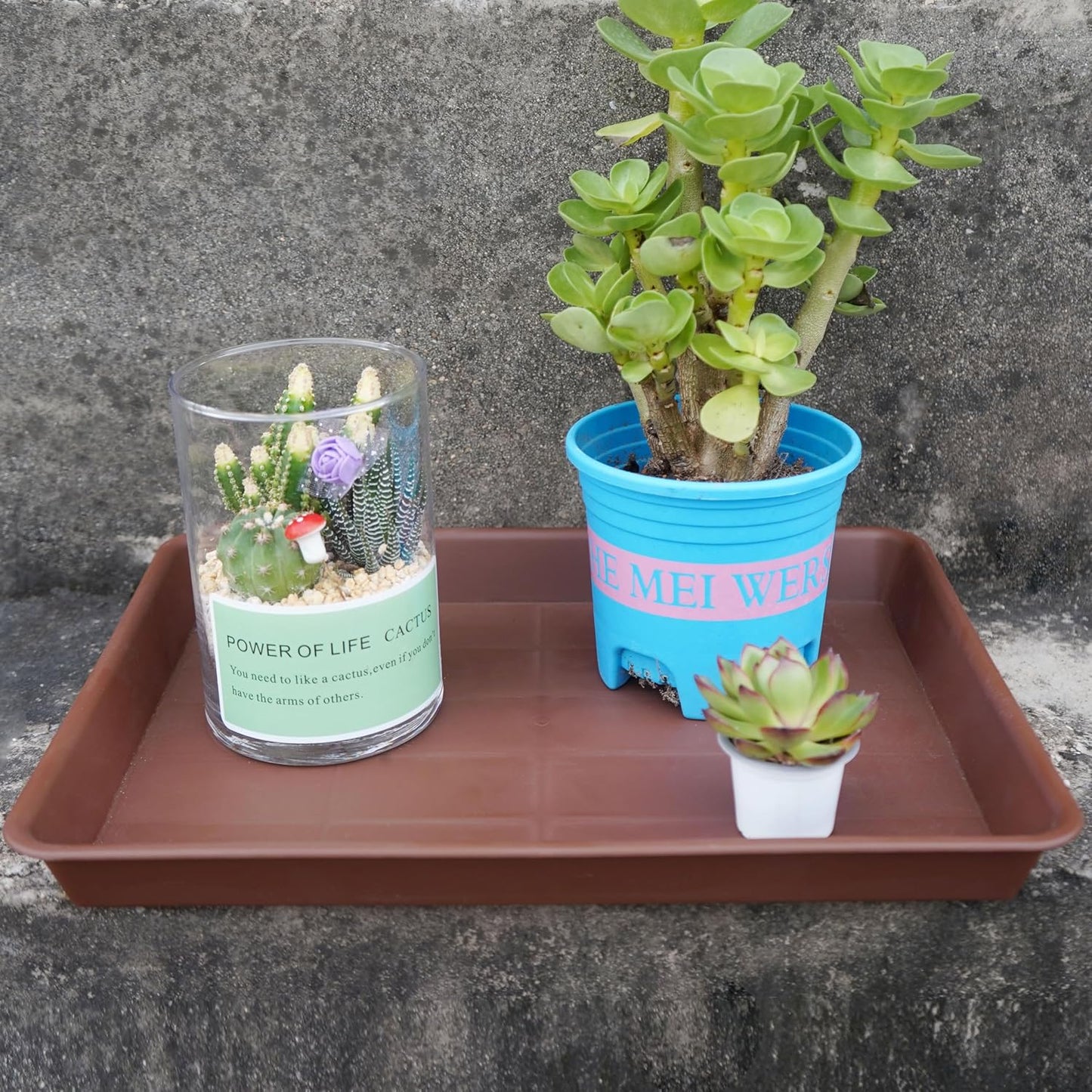 Plant Saucer Growing Tray, Seed Starter Tray Rectangular, Heavy Sturdy Plastic Plant Drainage Saucers, Plant Drip Trays for Pots, Seed Starter Growing Trays (11 x 9 inch, 2 Pack)