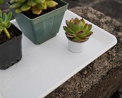 Plant Saucer Growing Tray, Seed Starter Tray Rectangular, Heavy Sturdy Plastic Plant Drainage Saucers, Plant Drip Trays for Pots, Seed Starter Growing Trays (11 x 9 inch, 2 Pack)