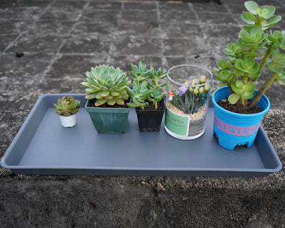 Plant Saucer Growing Tray, Seed Starter Tray Rectangular, Heavy Sturdy Plastic Plant Drainage Saucers, Plant Drip Trays for Pots, Seed Starter Growing Trays (11 x 9 inch, 2 Pack)