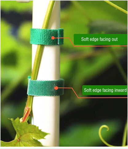 Plant Tape 32 Ft Green Garden Twist Ties for Plants, 13/16 Inch Plant Supports for Climbing Plants, Home and Office