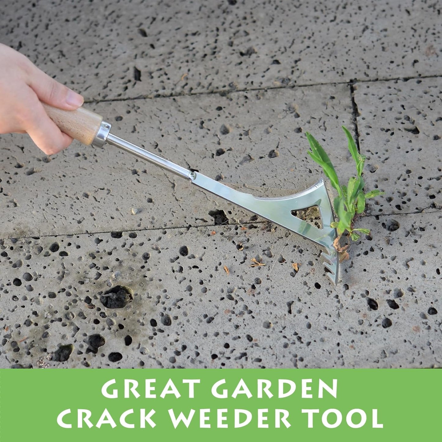 Crack Weeder, 12" Stainless Steel Crevice Weeding Tool with Wood Handle, Axe-Shaped Side-Walk Weed Puller Spatula, for Garden Lawn Yard Patio Terrace Paving Moss, Small Gardening Tool