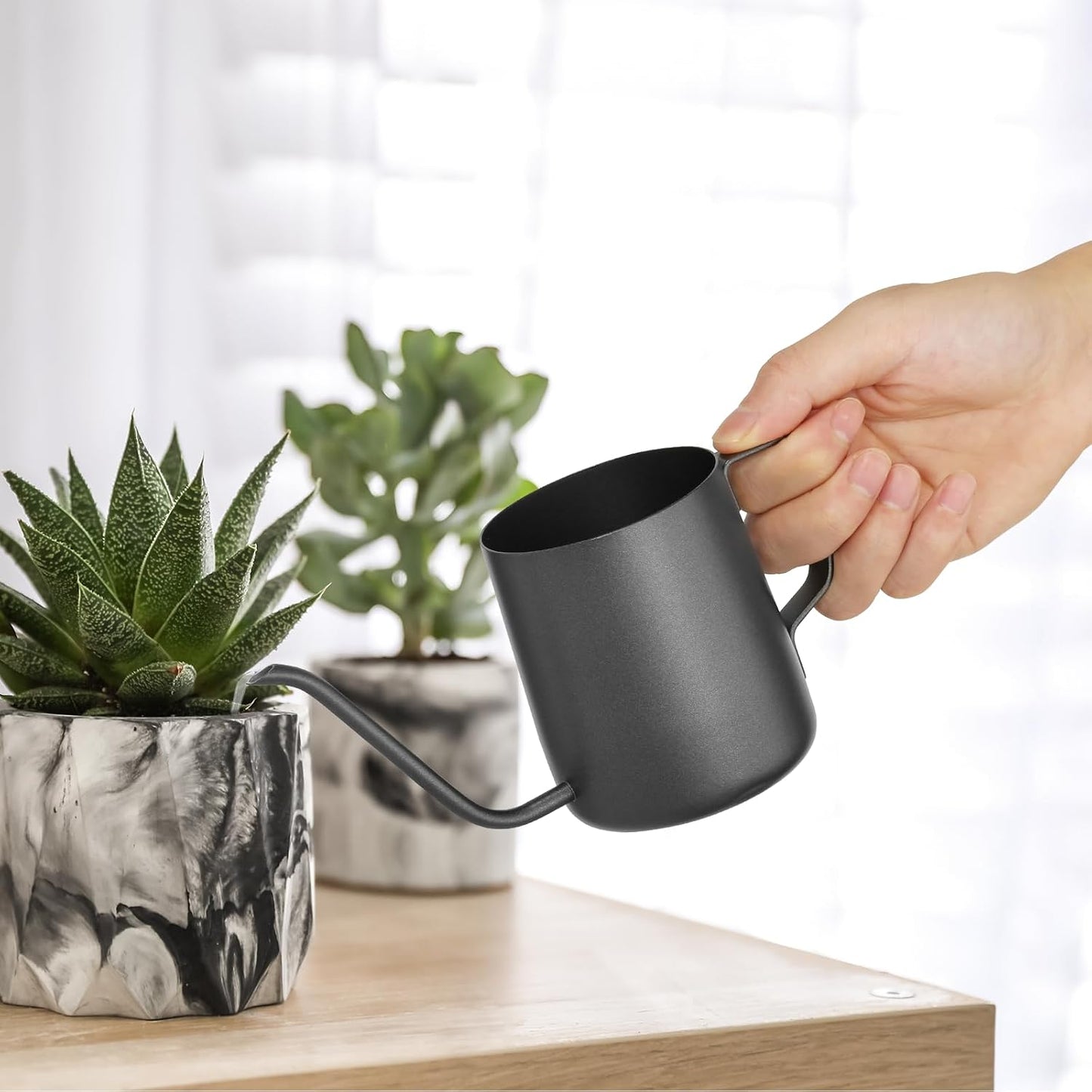Small Watering Can for Indoor Plants - 20 oz Mini Indoor Watering Can with Long Spout Gooseneck Rust-Proof Stainless Steel Tiny Watering Kettle for Small Plants