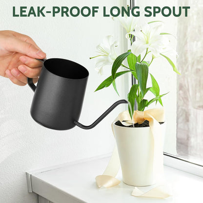 Small Watering Can for Indoor Plants - 20 oz Mini Indoor Watering Can with Long Spout Gooseneck Rust-Proof Stainless Steel Tiny Watering Kettle for Small Plants