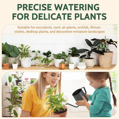 Small Watering Can for Indoor Plants - 20 oz Mini Indoor Watering Can with Long Spout Gooseneck Rust-Proof Stainless Steel Tiny Watering Kettle for Small Plants