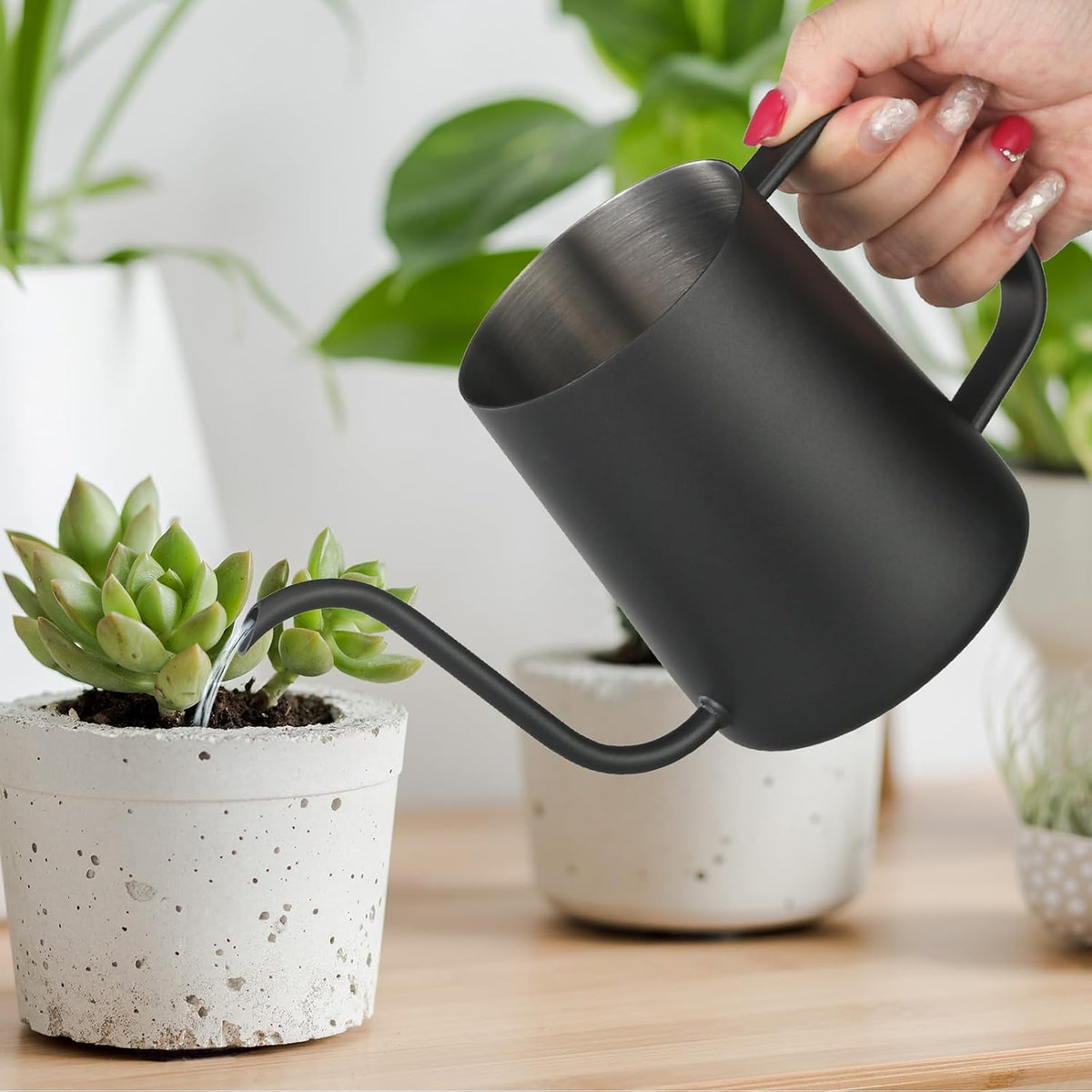 Small Watering Can for Indoor Plants - 20 oz Mini Indoor Watering Can with Long Spout Gooseneck Rust-Proof Stainless Steel Tiny Watering Kettle for Small Plants