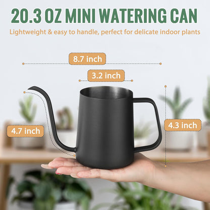Small Watering Can for Indoor Plants - 20 oz Mini Indoor Watering Can with Long Spout Gooseneck Rust-Proof Stainless Steel Tiny Watering Kettle for Small Plants
