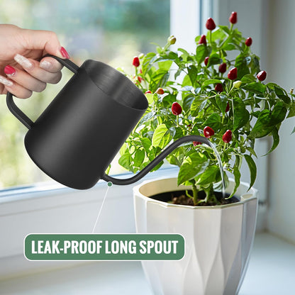 Small Watering Can for Indoor Plants - 20 oz Mini Indoor Watering Can with Long Spout Gooseneck Rust-Proof Stainless Steel Tiny Watering Kettle for Small Plants