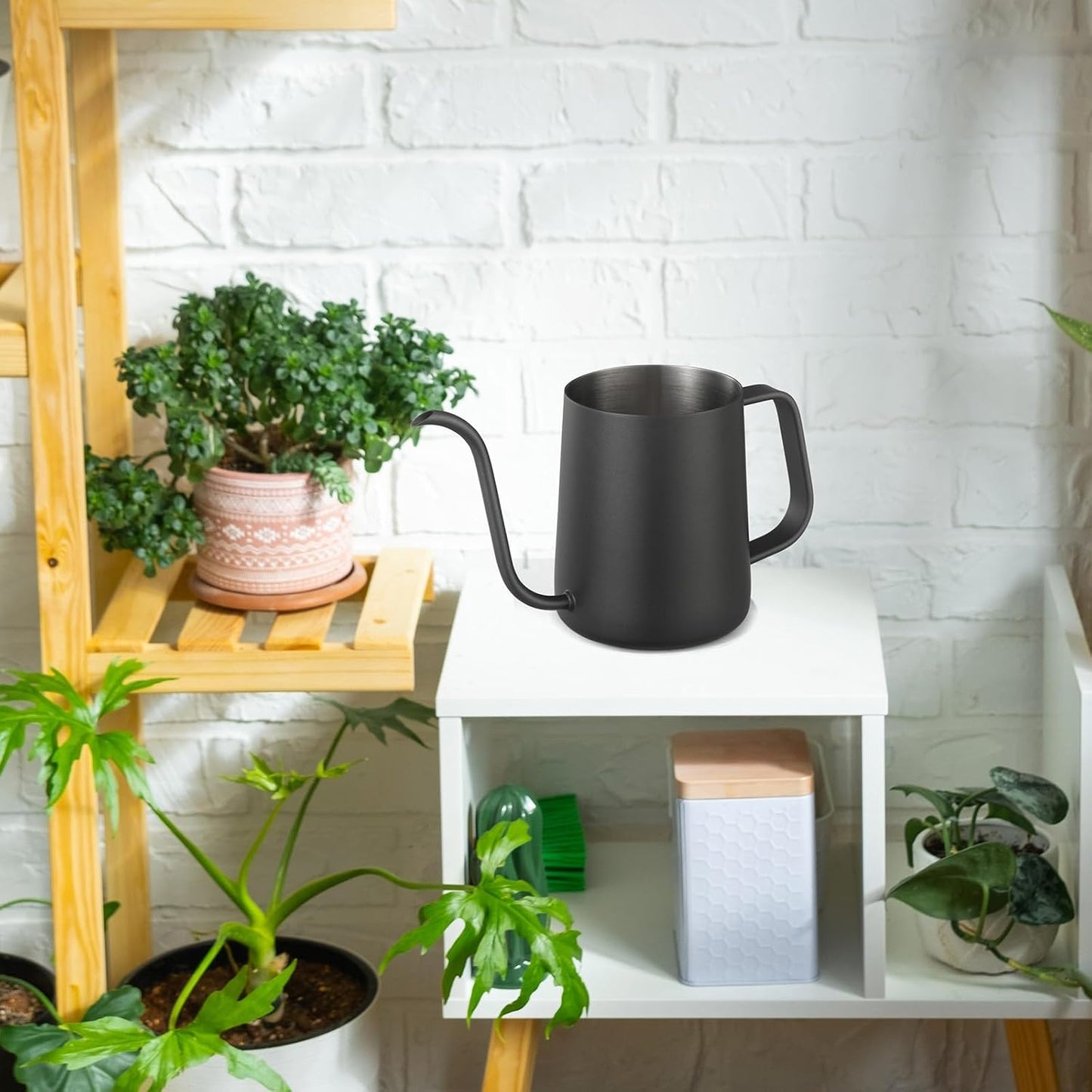Small Watering Can for Indoor Plants - 20 oz Mini Indoor Watering Can with Long Spout Gooseneck Rust-Proof Stainless Steel Tiny Watering Kettle for Small Plants
