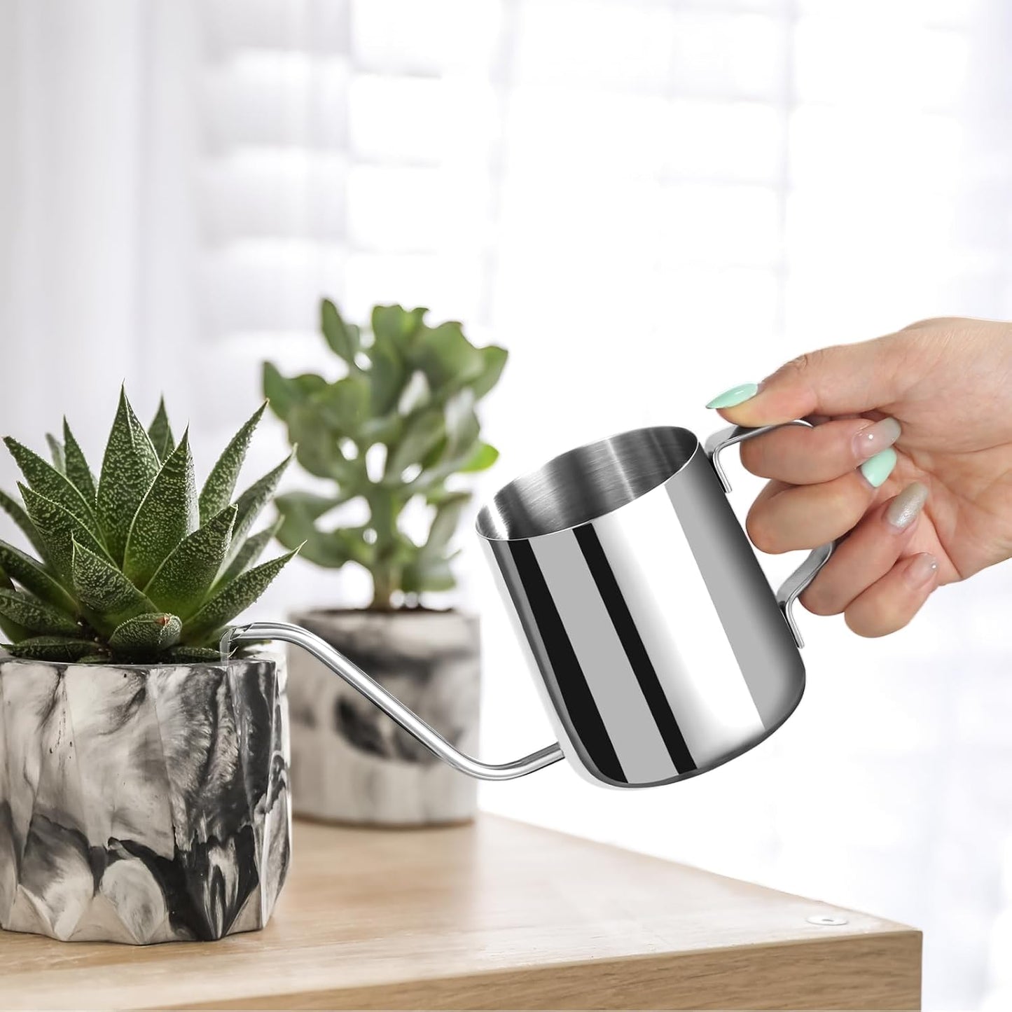 Small Watering Can for Indoor Plants - 20 oz Mini Indoor Watering Can with Long Spout Gooseneck Rust-Proof Stainless Steel Tiny Watering Kettle for Small Plants