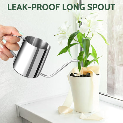 Small Watering Can for Indoor Plants - 20 oz Mini Indoor Watering Can with Long Spout Gooseneck Rust-Proof Stainless Steel Tiny Watering Kettle for Small Plants