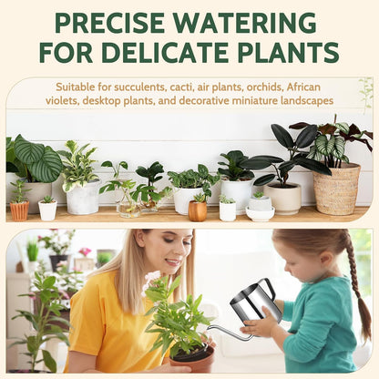 Small Watering Can for Indoor Plants - 20 oz Mini Indoor Watering Can with Long Spout Gooseneck Rust-Proof Stainless Steel Tiny Watering Kettle for Small Plants