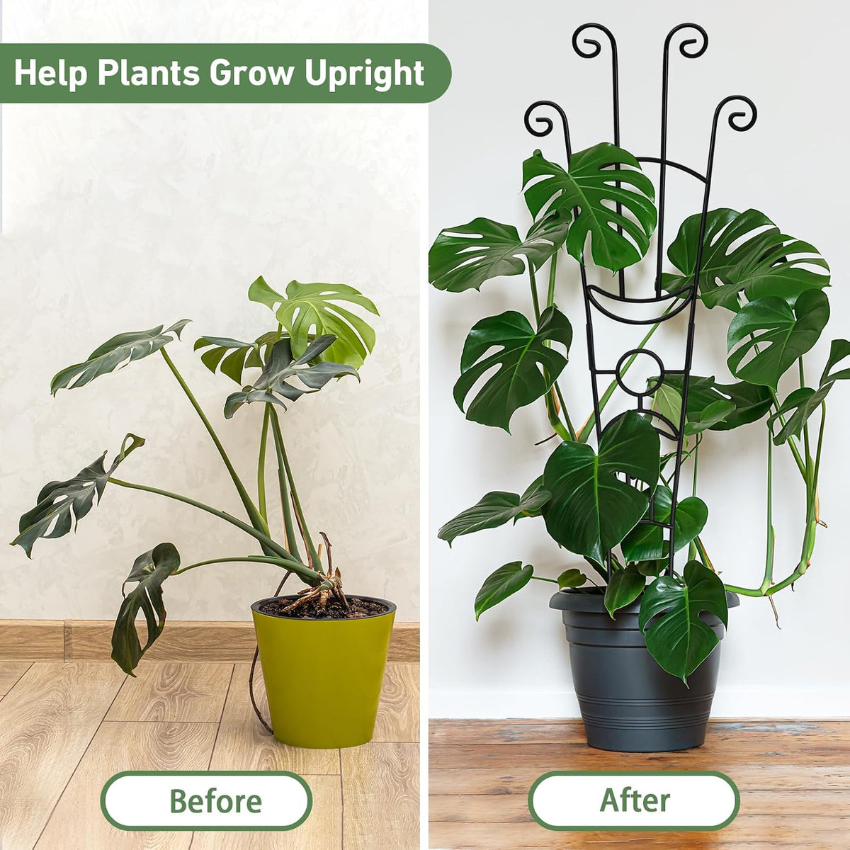 32.6in Plant Trellis for Climbing Plants Indoor Outdoor, Expandable Large Metal Garden Trellis for Potted Plants, Heavy-Duty Tall Pothos Plant Climber Support for Ivy Pothos Hoya Monstera, 2P