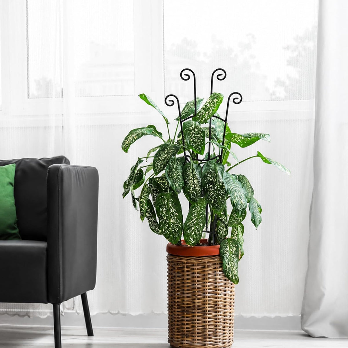32.6in Plant Trellis for Climbing Plants Indoor Outdoor, Expandable Large Metal Garden Trellis for Potted Plants, Heavy-Duty Tall Pothos Plant Climber Support for Ivy Pothos Hoya Monstera, 2P