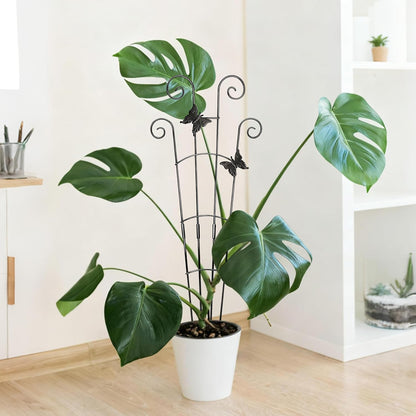 32.6in Plant Trellis for Climbing Plants Indoor Outdoor, Expandable Large Metal Garden Trellis for Potted Plants, Heavy-Duty Tall Pothos Plant Climber Support for Ivy Pothos Hoya Monstera, 2P