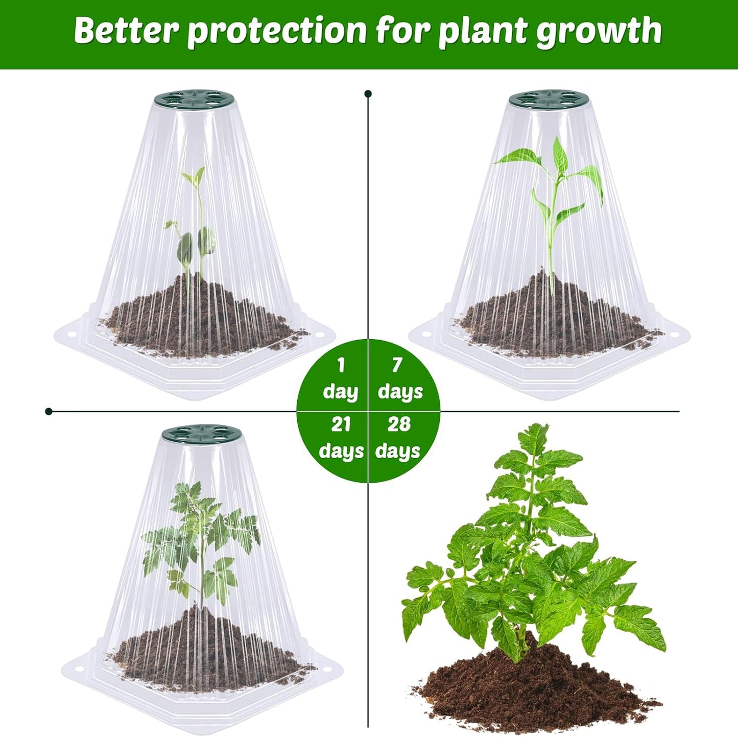 20 Pack Garden Cloches for Plants with 40PCS Ground Stakes,Clear Reusable Bell Covers with Rotatable Vent for Plant Protection,Garden Protector from Animals Birds Chicken,7.9" H X 6.7" D
