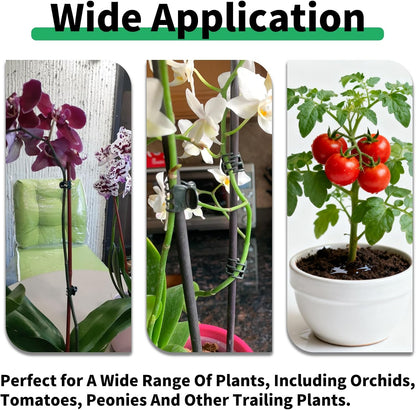 70 Pcs Plant Clips Orchid Clips Plants Orchid Support Clips Flower Vine Clips for Supporting Stems Vines Stalks Climbing Plant Grow Upright