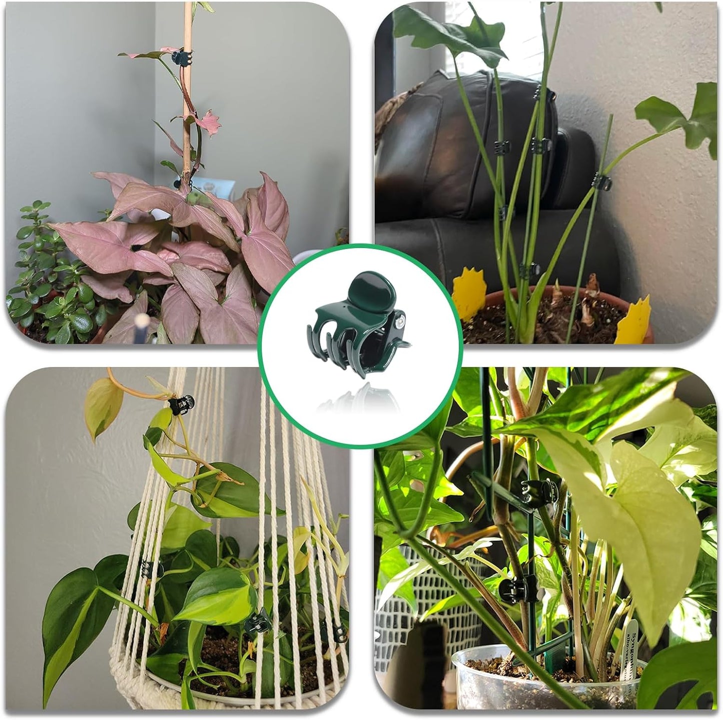 70 Pcs Plant Clips Orchid Clips Plants Orchid Support Clips Flower Vine Clips for Supporting Stems Vines Stalks Climbing Plant Grow Upright
