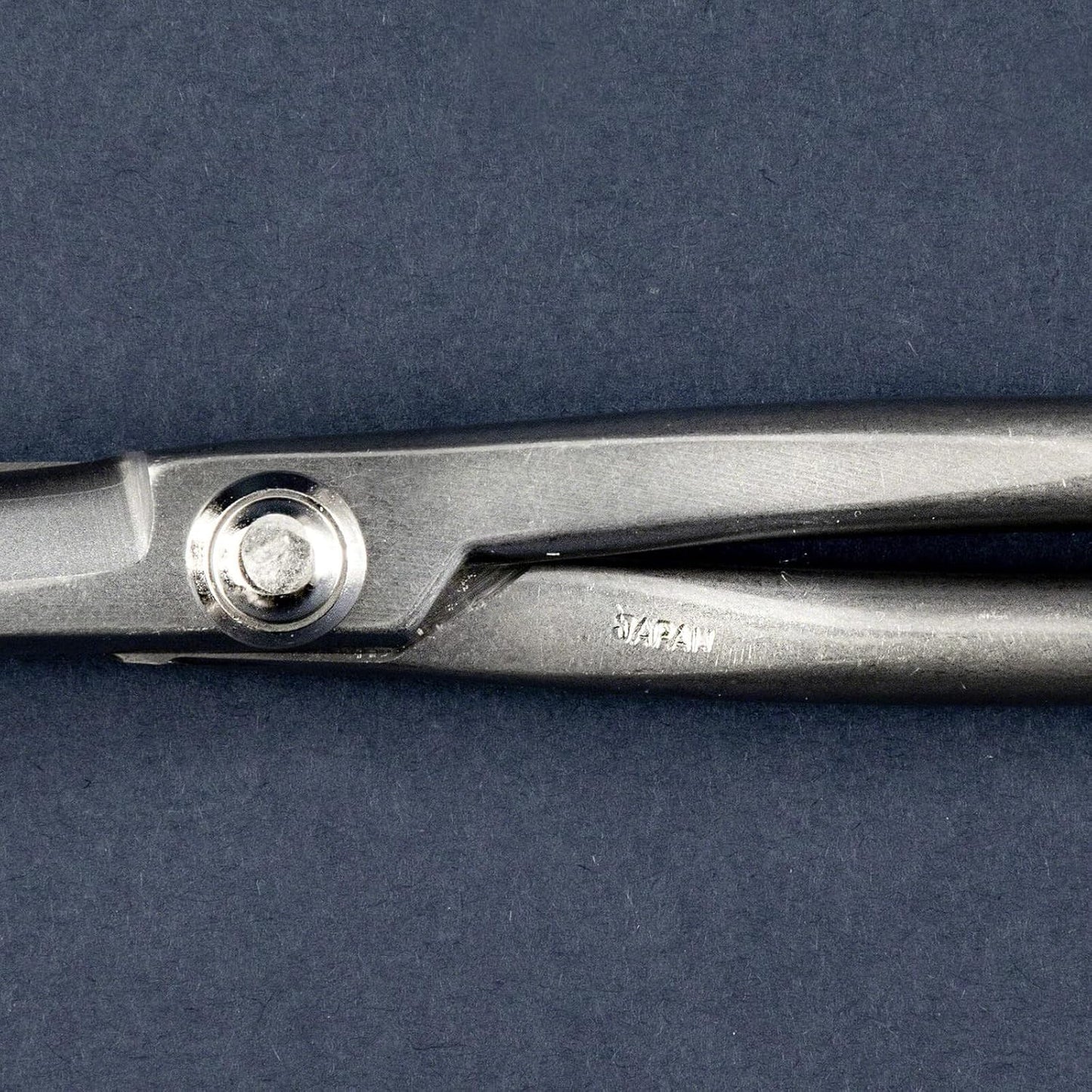 Wazakura Yasugi Stainless Steel Made in Japan Twig Bonsai Scissors 8.27" (210 mm), Japanese Garden Pruning Snip Tools Shears, Flower Herb Trimming Shears (Yasugi Stainless Steel Twig Scissors)