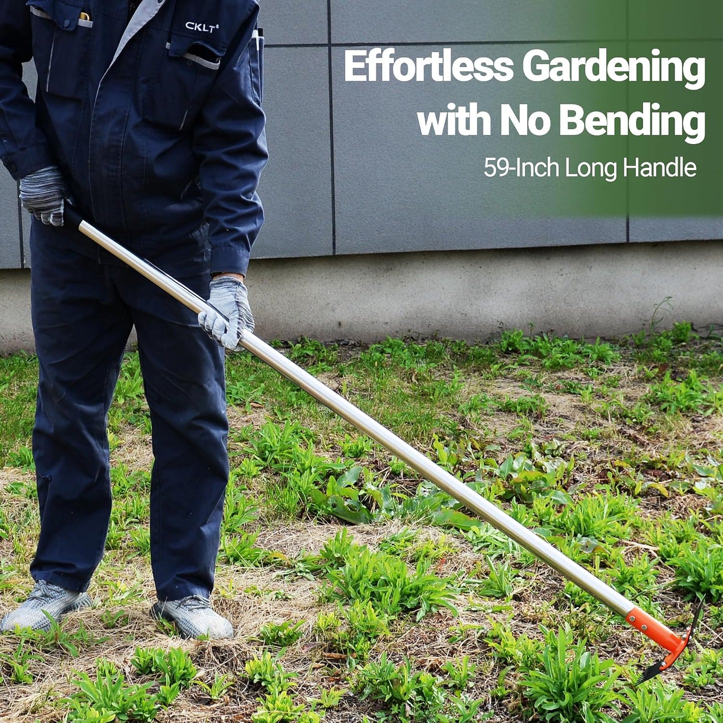 2-in-1 Garden Hoe and Weed Puller Rake 60 Inch Spring Steel Head