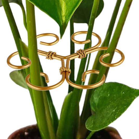 4PCS Iron Monstera Support, Durable Plant Stem Support Stakes for Indoor Outdoor Plants, Uniquely Designed Bamboo Clamp Set for Thriving Climbing Plants Stabilization (Heart-Shaped)