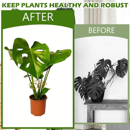 4PCS Iron Monstera Support, Durable Plant Stem Support Stakes for Indoor Outdoor Plants, Uniquely Designed Bamboo Clamp Set for Thriving Climbing Plants Stabilization (Heart-Shaped)