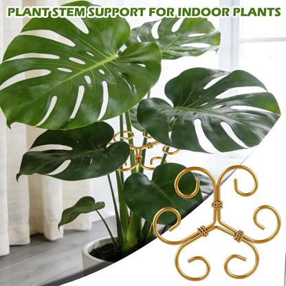 4PCS Iron Monstera Support, Durable Plant Stem Support Stakes for Indoor Outdoor Plants, Uniquely Designed Bamboo Clamp Set for Thriving Climbing Plants Stabilization (Heart-Shaped)