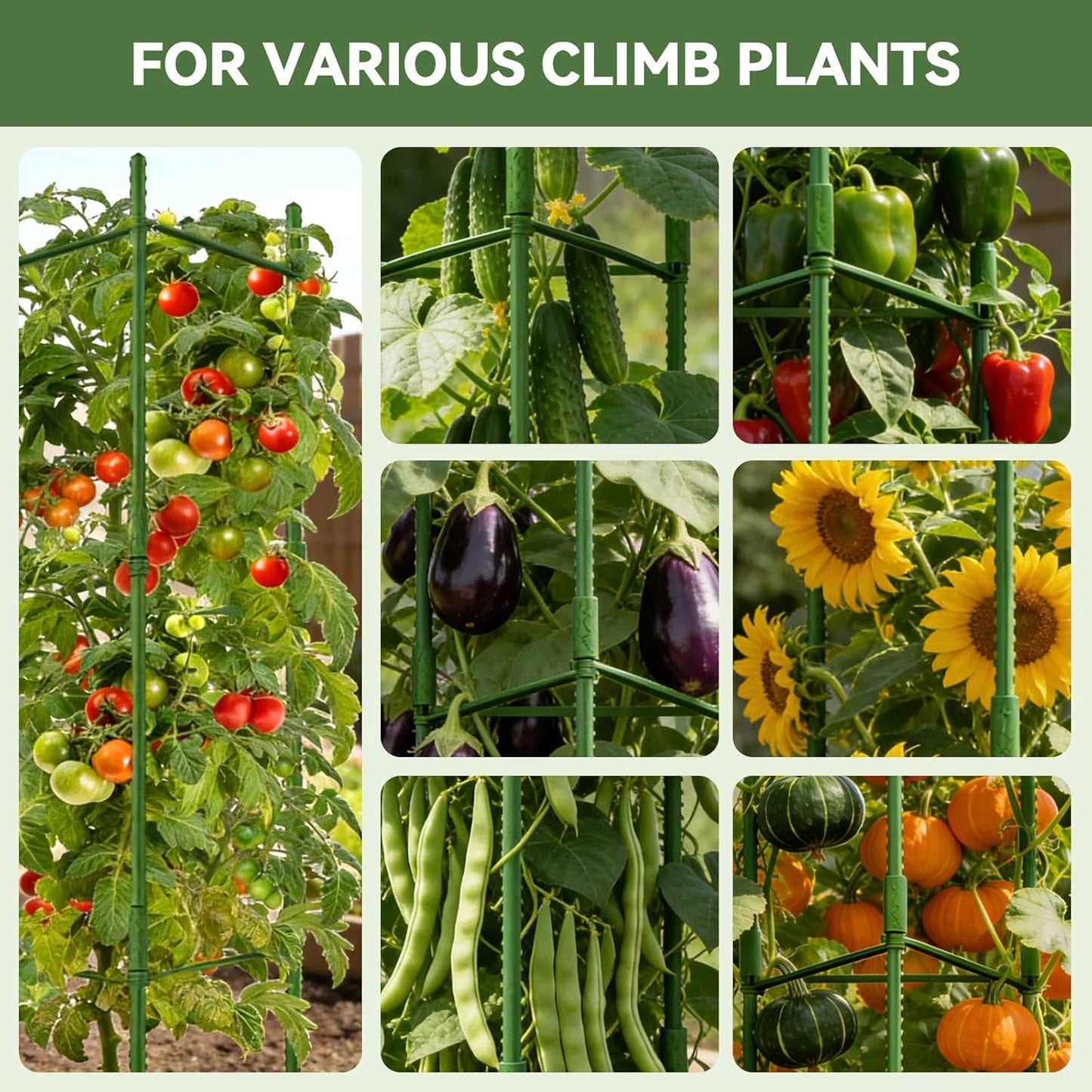8 Pack Tomato Cages for Garden, Up to 48in (4FT) Trellis