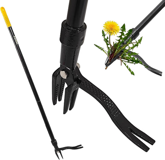 55-Inch Stand Up Weed Puller Tool, 4-Claw Steel Head Design, Long Handle for Dandelions and Crabgrass