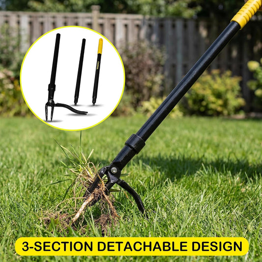 55-Inch Stand Up Weed Puller Tool, 4-Claw Steel Head Design, Long Handle for Dandelions and Crabgrass