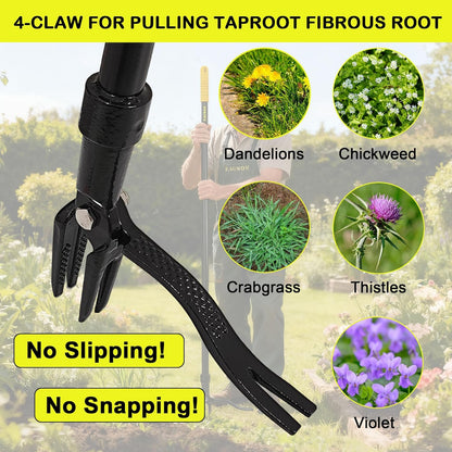 55-Inch Stand Up Weed Puller Tool, 4-Claw Steel Head Design, Long Handle for Dandelions and Crabgrass