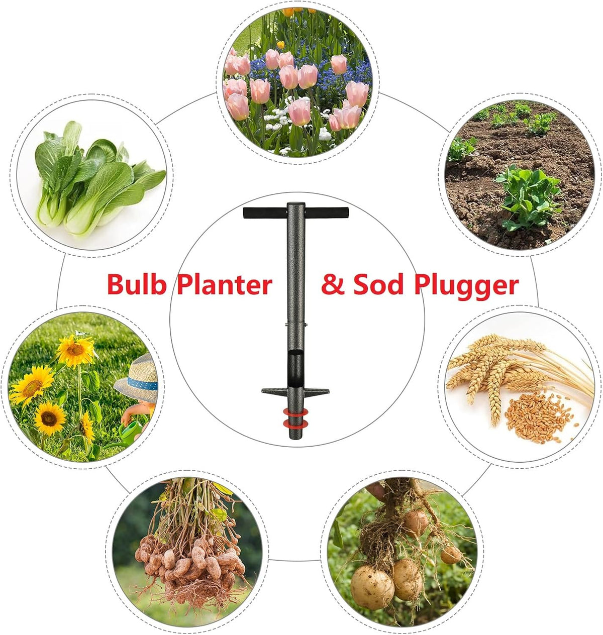 Bulb Planter Tool, 33.5 inch Long Handle Garden Sod Plugger to Dig Hole, Heavy Duty Metal Grass Plugger for Soil Test Planting or Weeding Spring Flowers Bulbs,Bedding Plants,Tulips, Lilies, Potato