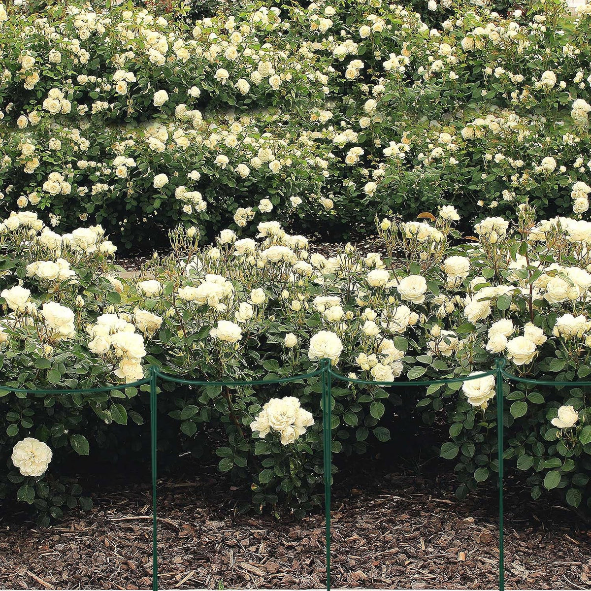9 Pcs 30″ H x 12.6″ W Plant Support Stakes Cages for Garden, Metal Half Round Plants Tension Rods for Indoor Outdoor Small Short Peony Hydrangea Lavender Sage Golden Marigold Rose