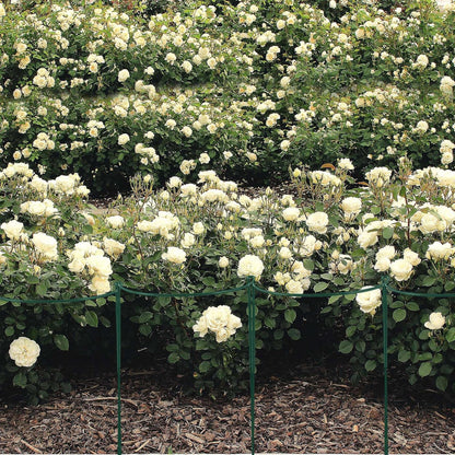 9 Pcs 30″ H x 12.6″ W Plant Support Stakes Cages for Garden, Metal Half Round Plants Tension Rods for Indoor Outdoor Small Short Peony Hydrangea Lavender Sage Golden Marigold Rose