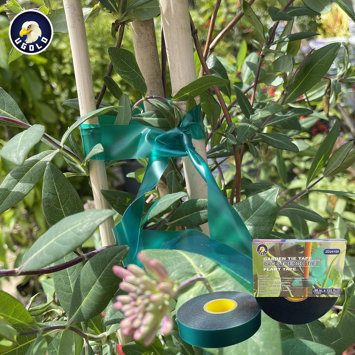 8 mil Extra Thick 150 Feet x 1'' Stretch Plant Tie Tape, Garden Tie for Planting and Grafting, Plant Ribbon for Tomatoes, Grapes and Trees, Green Tie Tape, Garden Stake for Vinyard